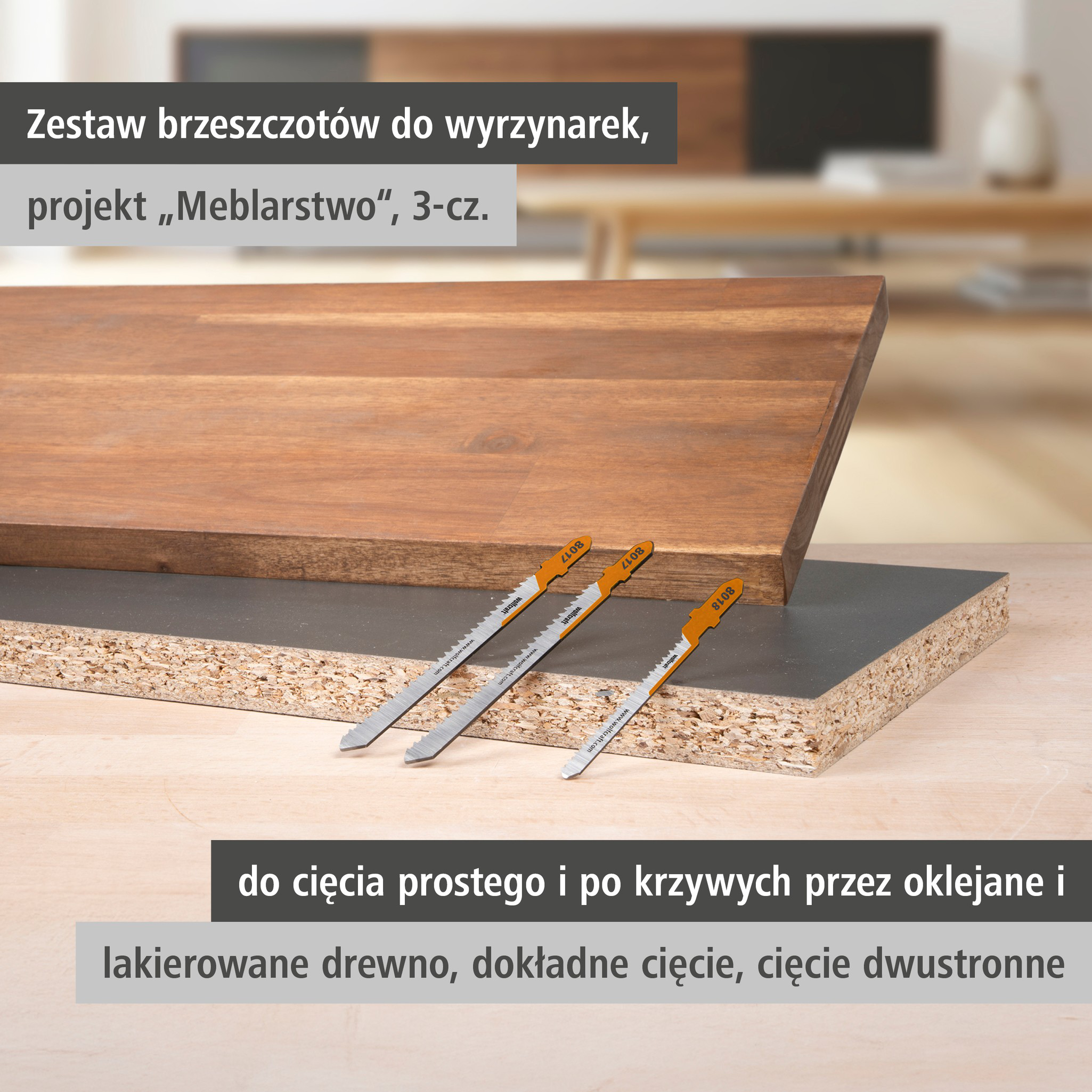 Jigsaw Blade Project Set for Making Furniture, 3 Pcs. (pl)