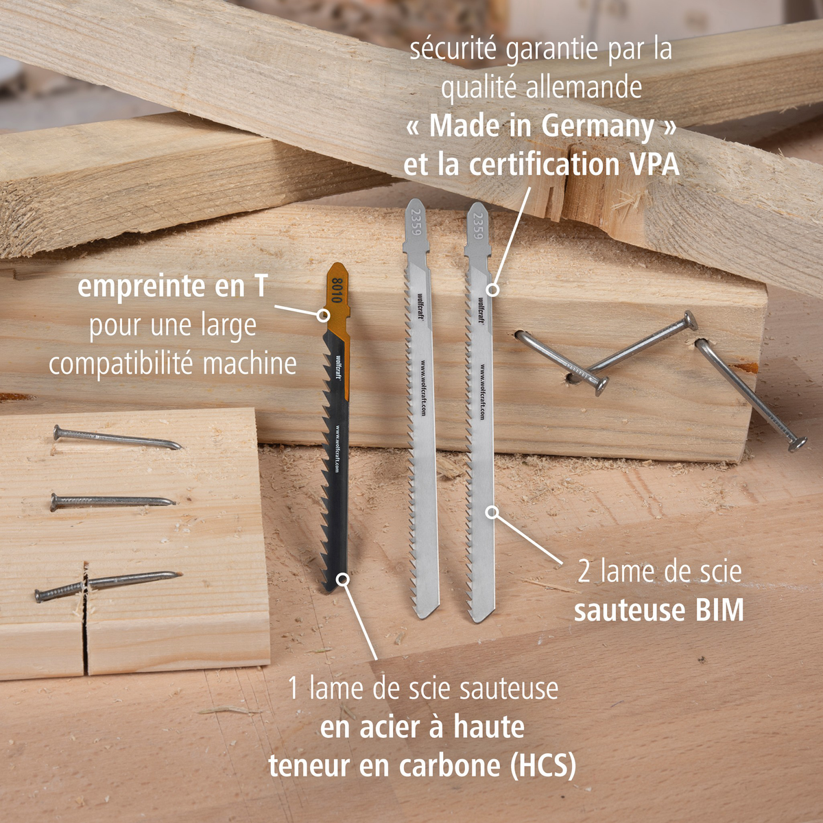 Jigsaw Blade Project Set for Demolition Work, 3 Pcs. (fr)