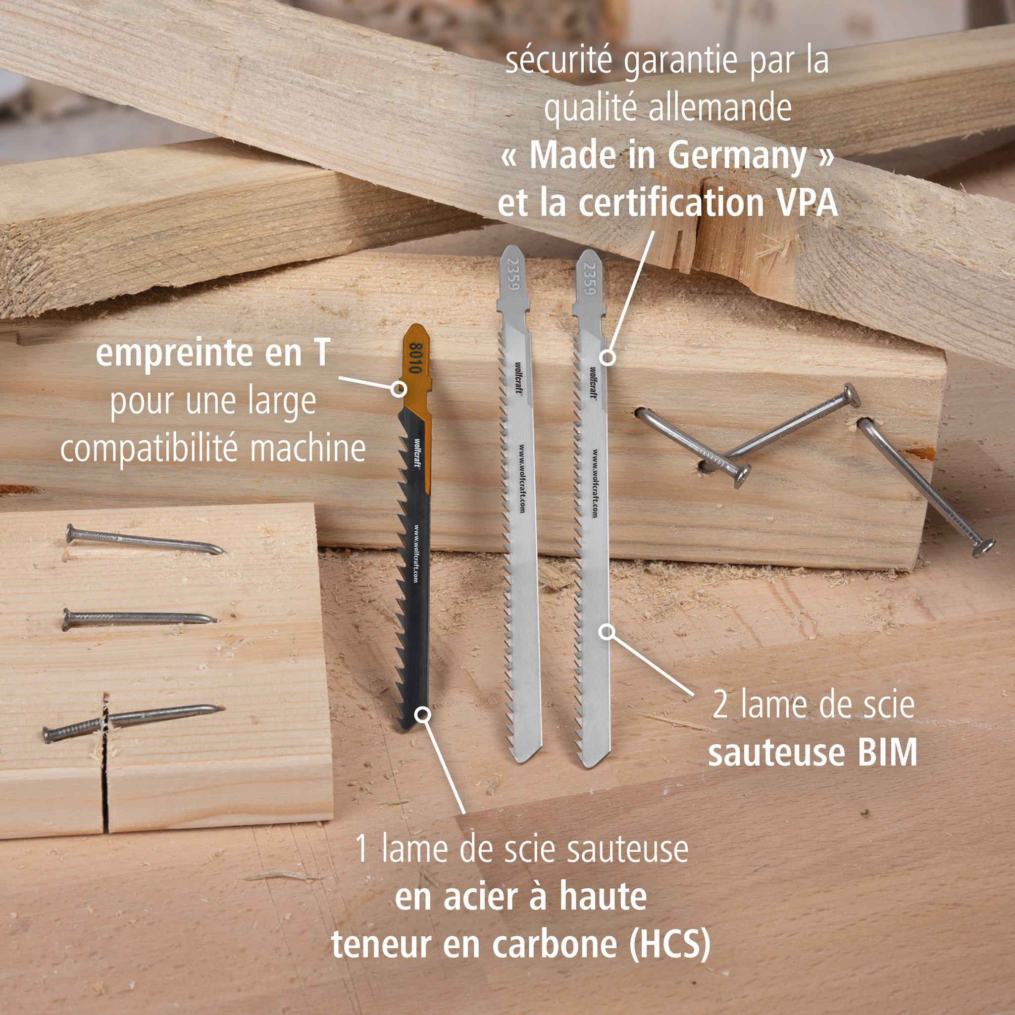 Jigsaw Blade Project Set for Demolition Work, 3 Pcs. (fr)