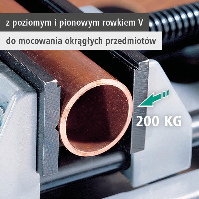 Quick-Action Vice, 100 mm (pl)