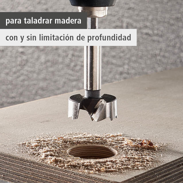 Forstner Drill Bit, Hexagon Shank, Ø 35 mm (es)