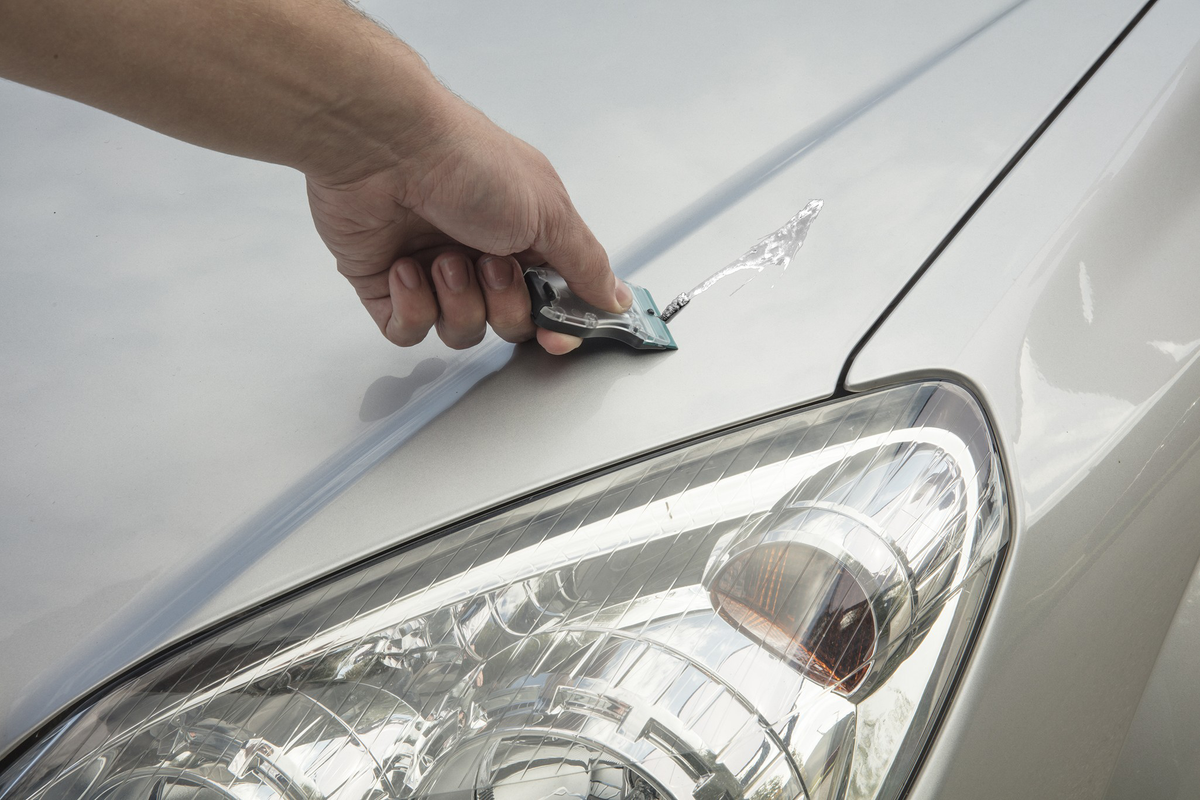 Scraper with Plastic Blades  - Image 5