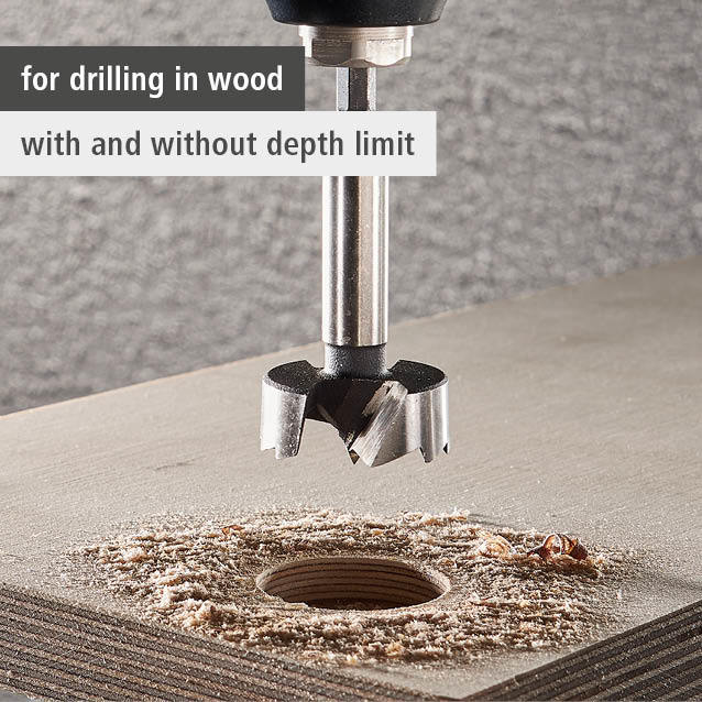 Forstner Drill Bit, Hexagon Shank, Ø 35 mm (en)
