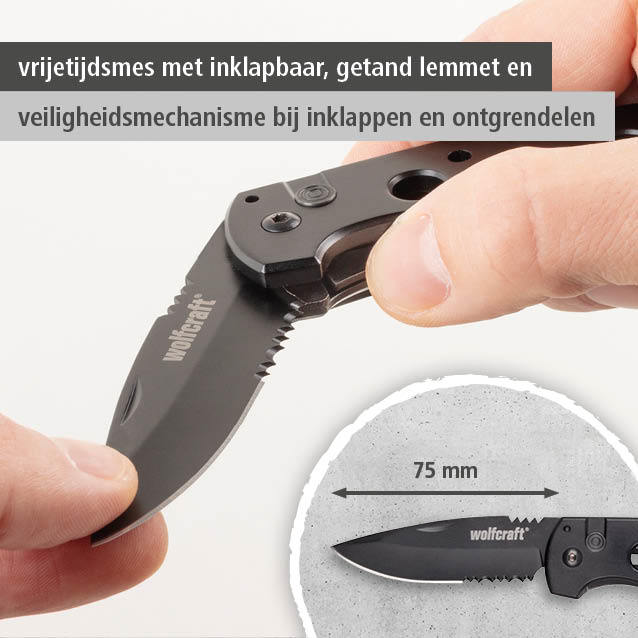 Leisure Knife with Folding Blade (nl)