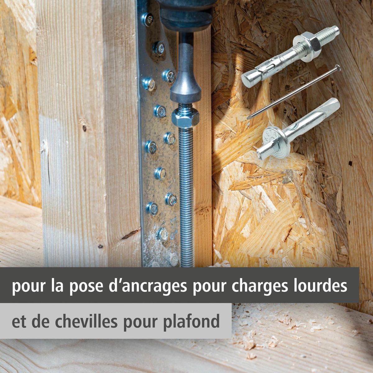 SDS-plus Driving Tool (fr)