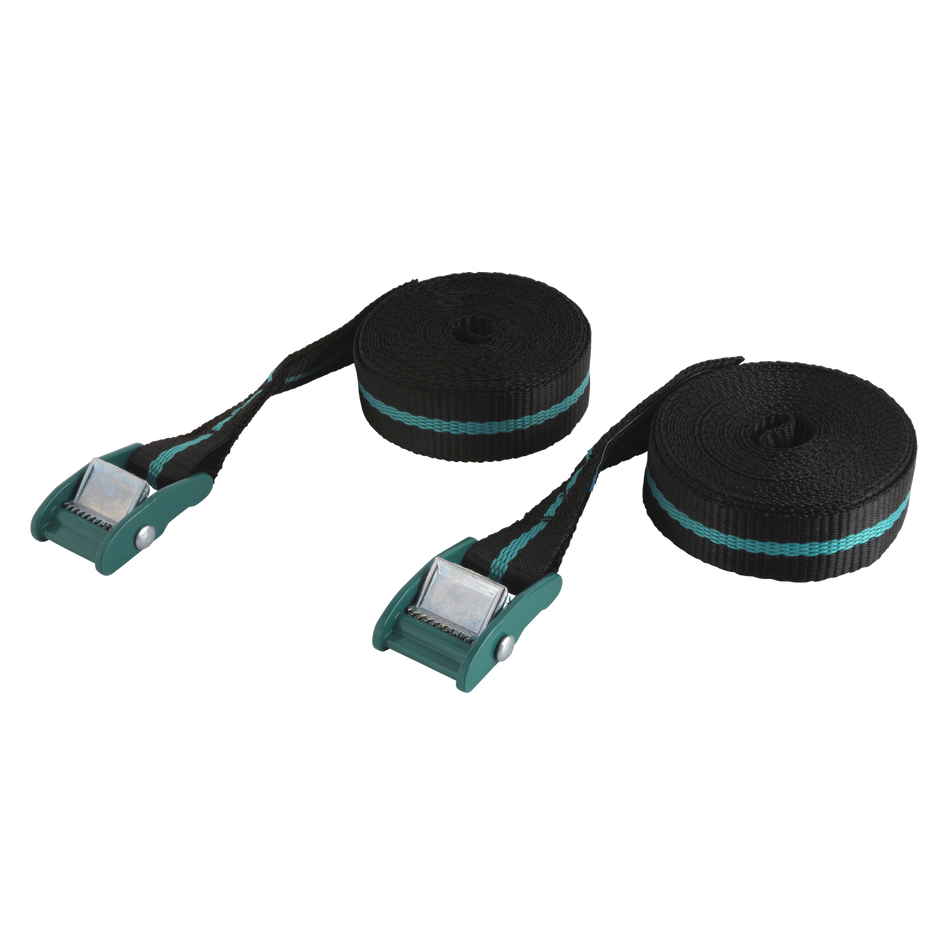 tie-down strap - Image 1