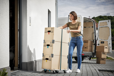 FT 300 Furniture Dolly, splittable - Image 3