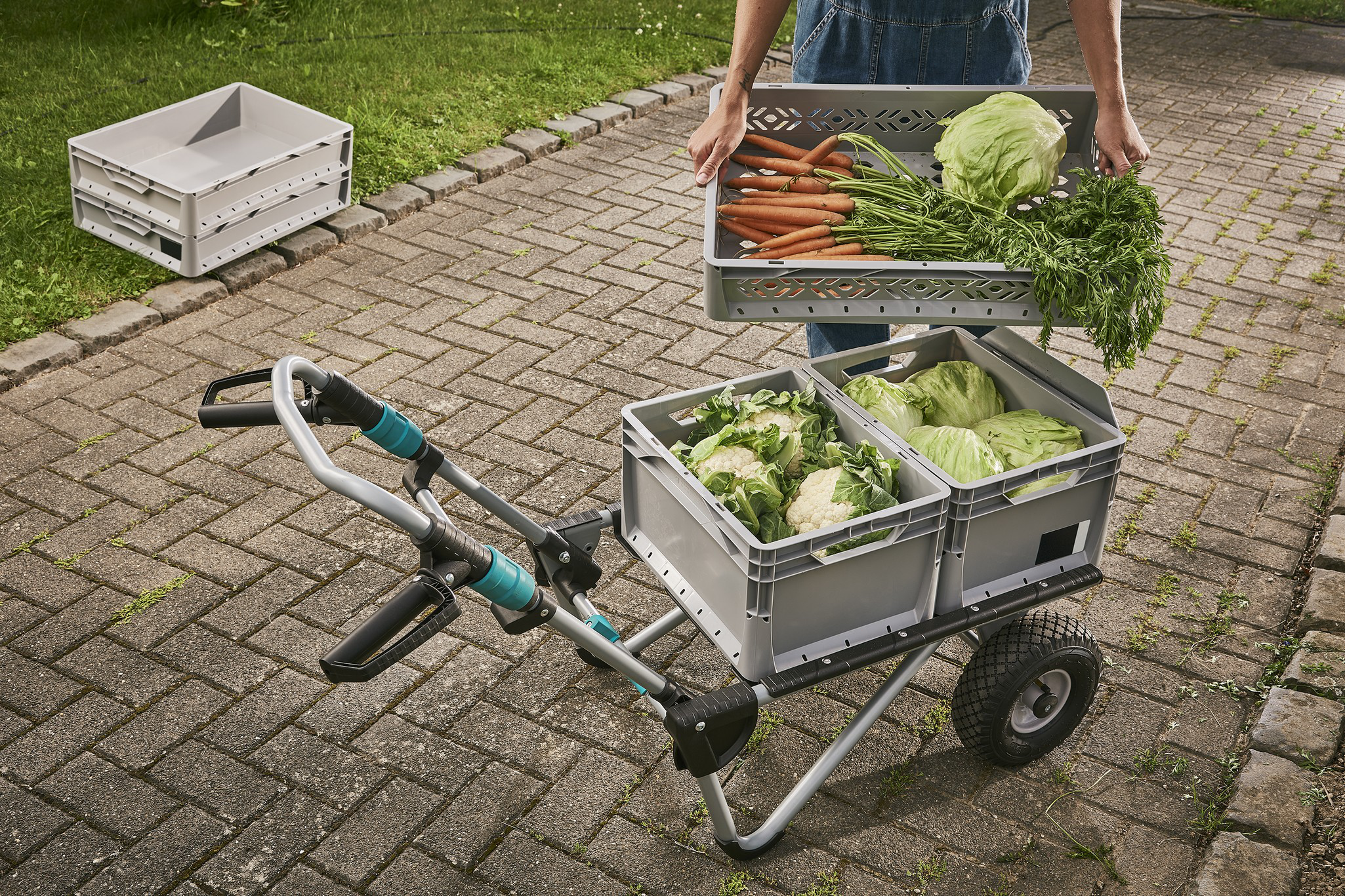 TS 2500 Transport System - Image 9