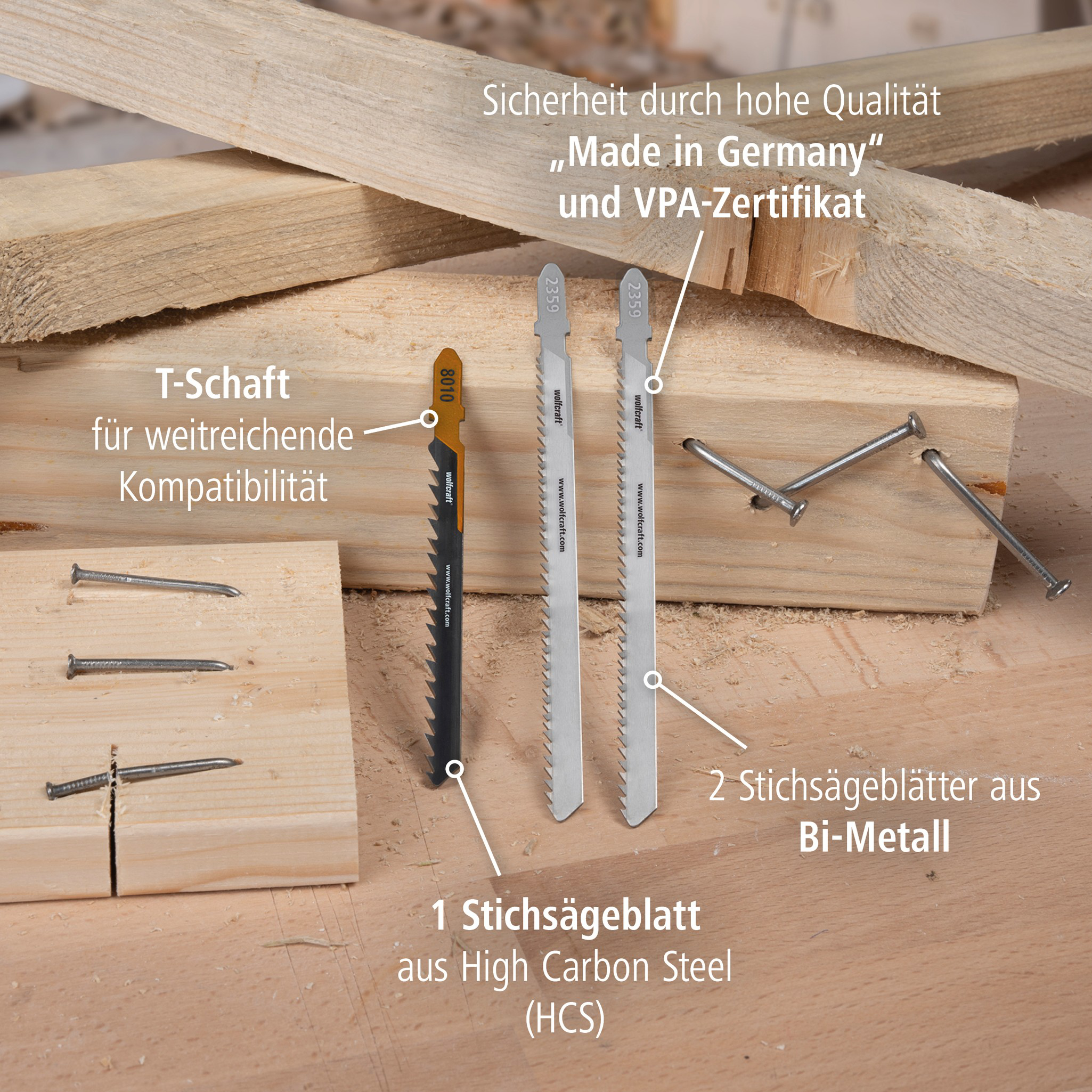 Jigsaw Blade Project Set for Demolition Work, 3 Pcs. (de)