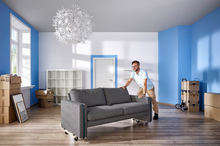 FT 300 Furniture Dolly, splittable