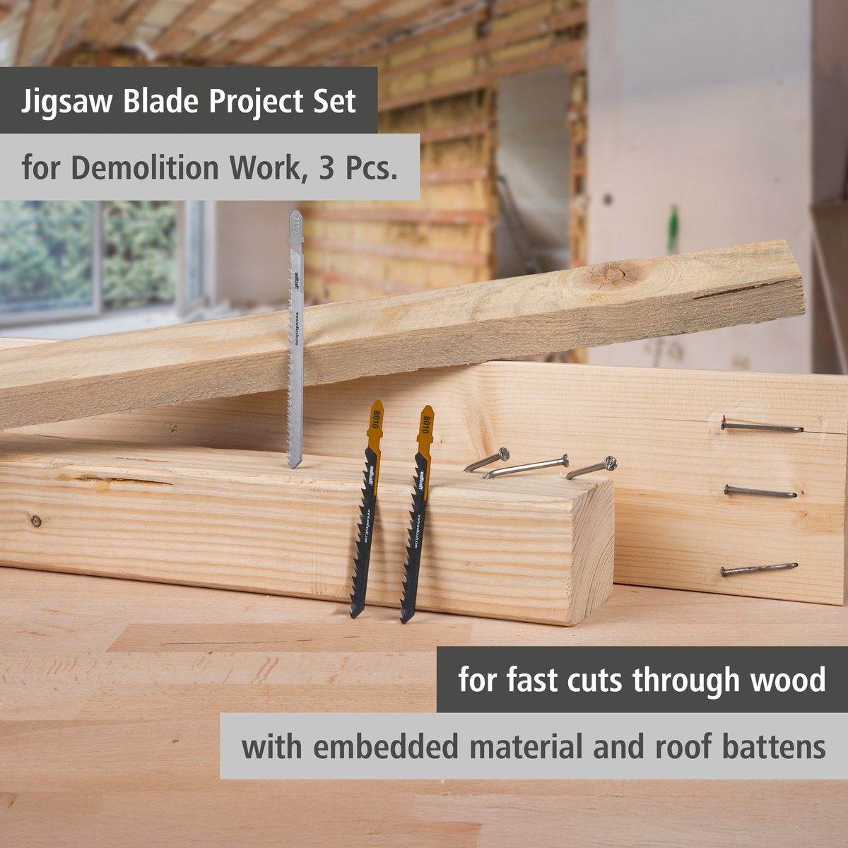 Jigsaw Blade Project Set for Demolition Work, 3 Pcs. (en)
