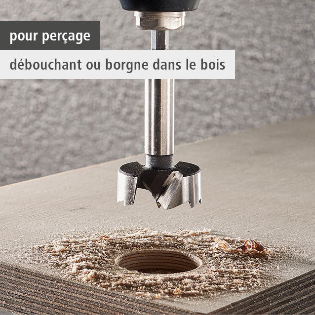Forstner Drill Bit, Hexagon Shank, Ø 35 mm (fr)