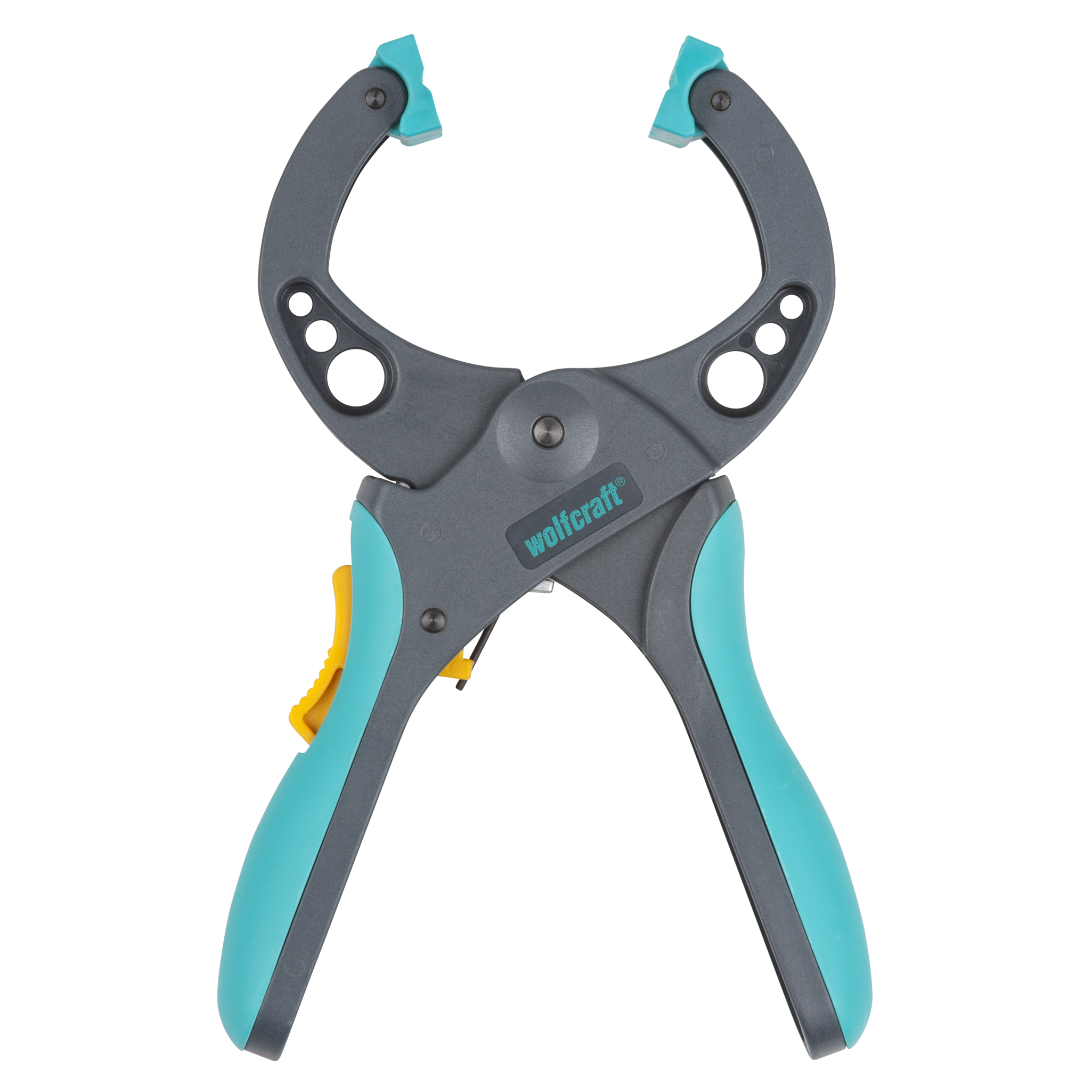 FZR Ratchet Clamping Lever