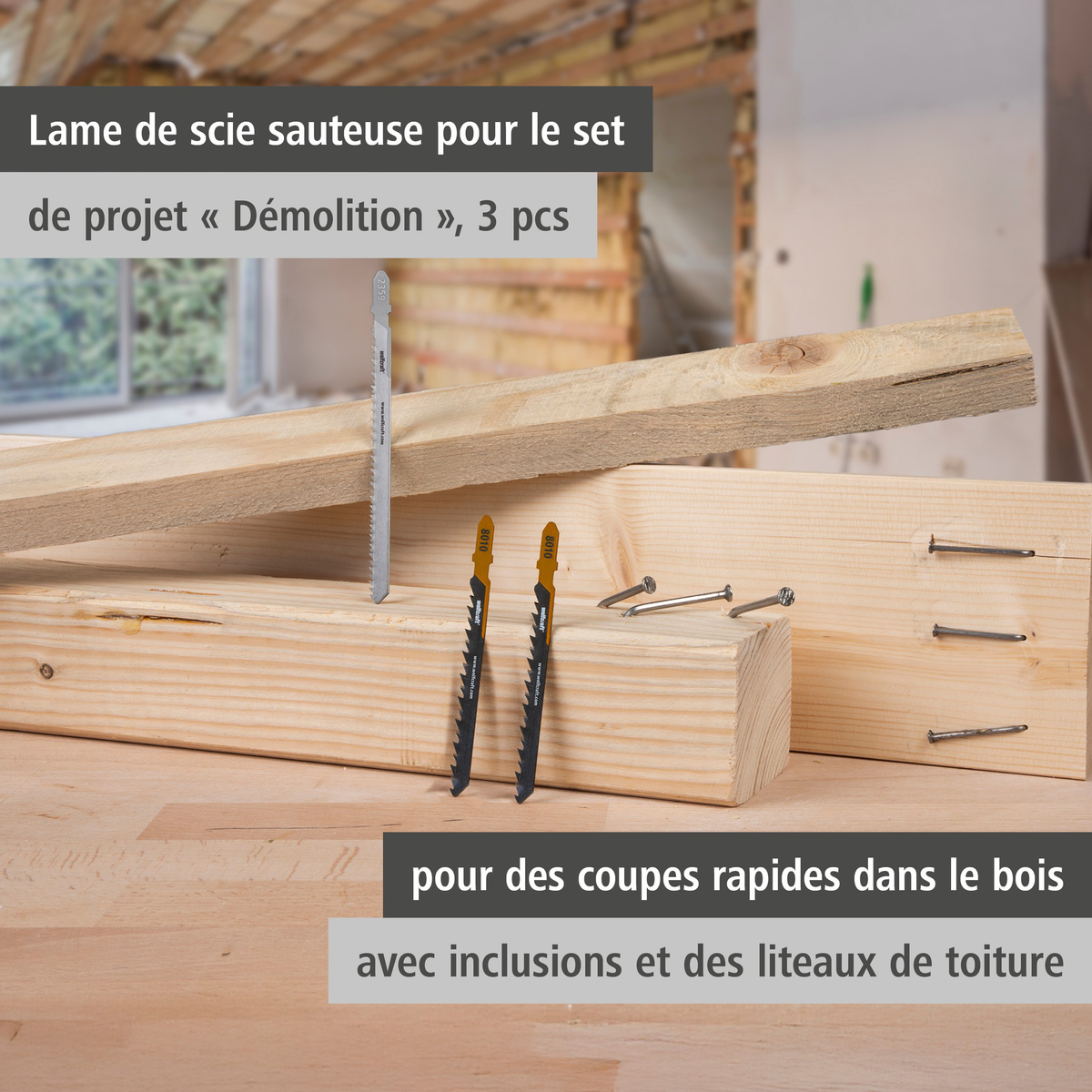 Jigsaw Blade Project Set for Demolition Work, 3 Pcs. (fr)
