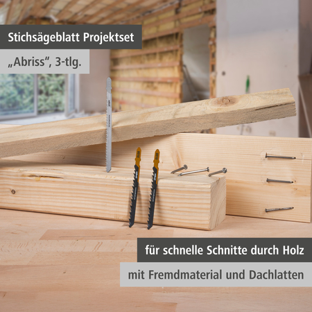 Jigsaw Blade Project Set for Demolition Work, 3 Pcs. (de)