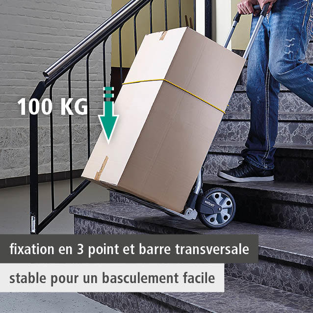 TS 850 Transport System (fr)