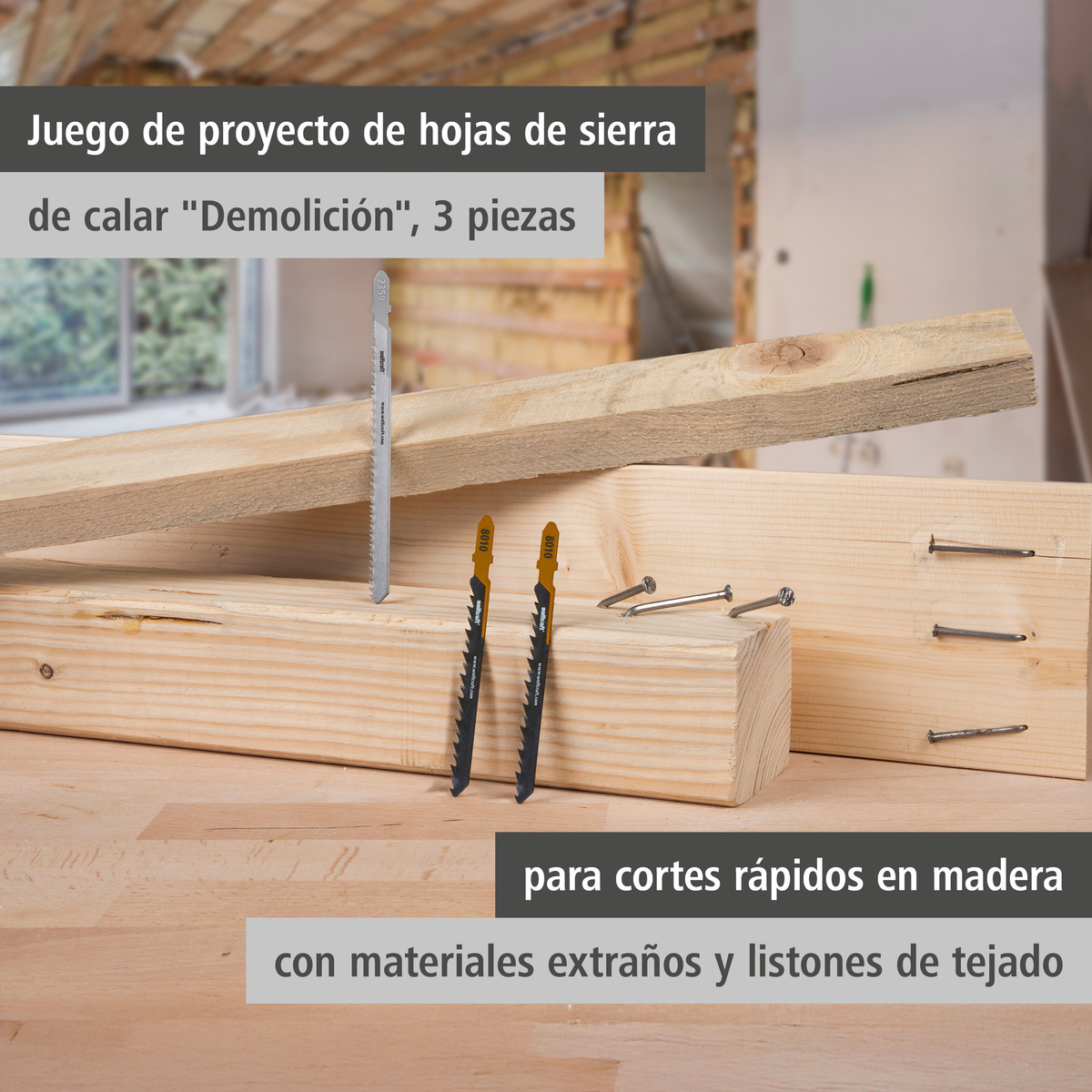Jigsaw Blade Project Set for Demolition Work, 3 Pcs. (es)
