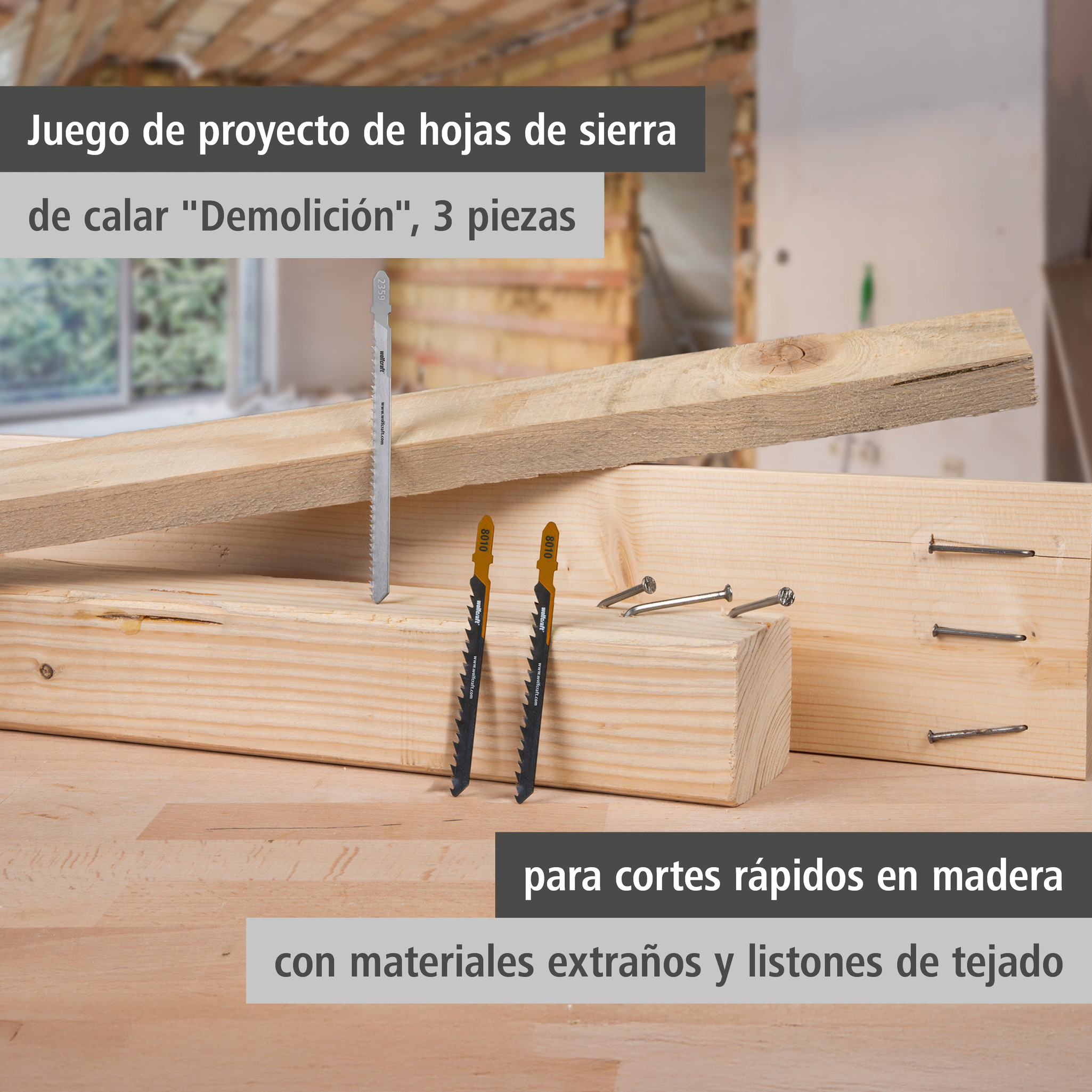 Jigsaw Blade Project Set for Demolition Work, 3 Pcs. (es)
