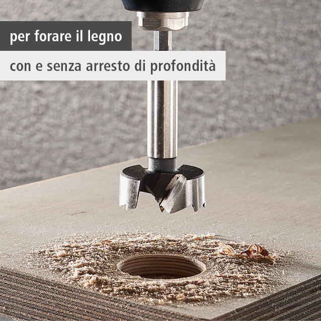 Forstner Drill Bit, Hexagon Shank, Ø 35 mm (it)