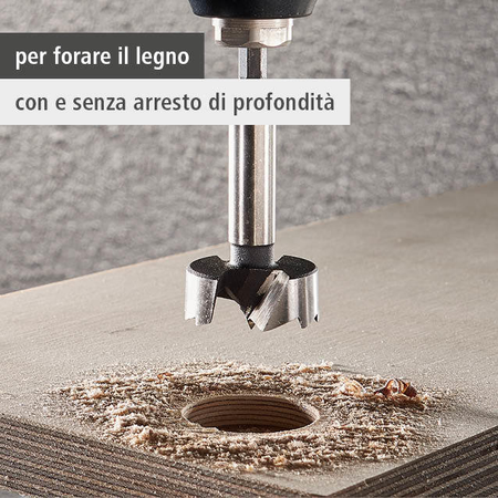 Forstner Drill Bit, Hexagon Shank, Ø 35 mm (it)