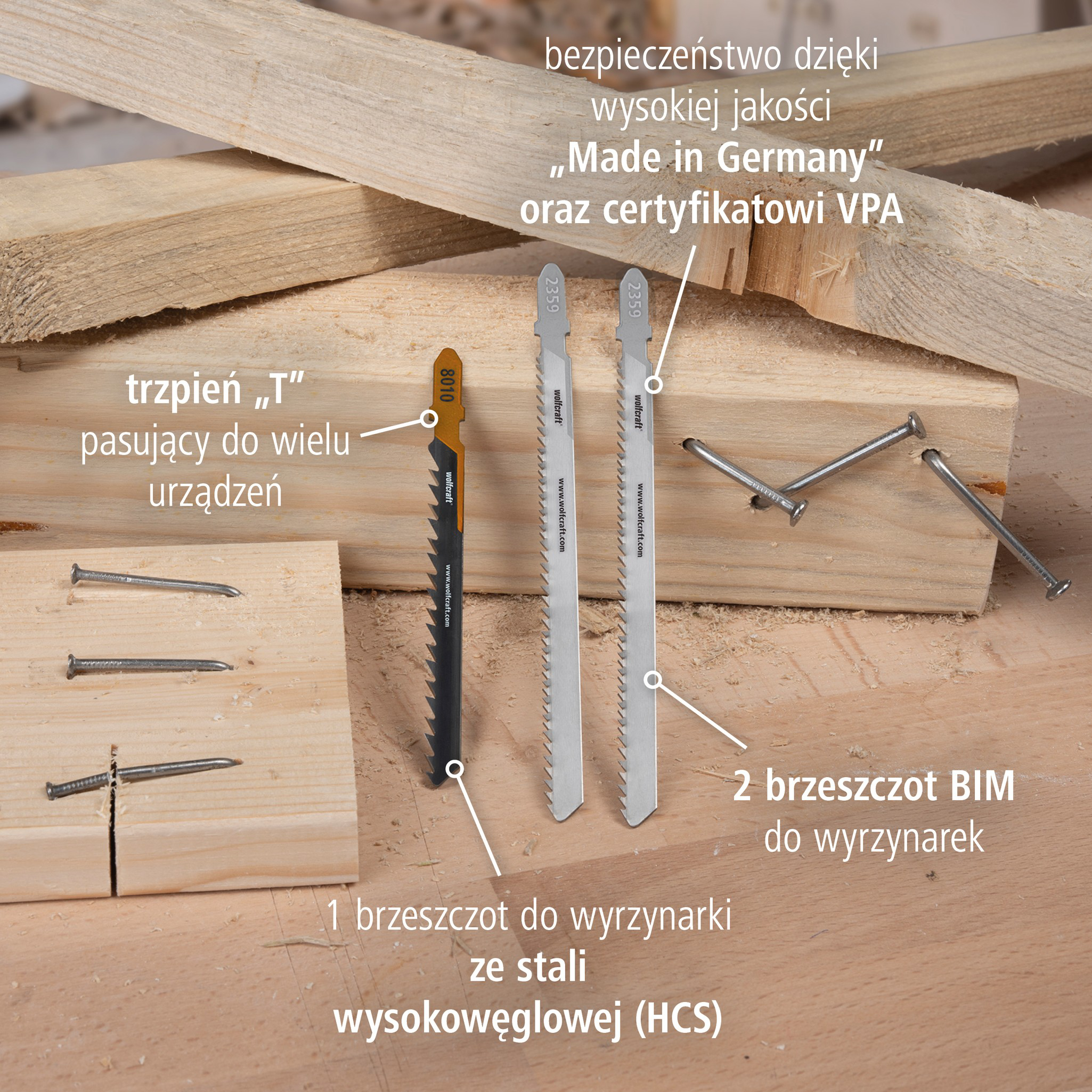 Jigsaw Blade Project Set for Demolition Work, 3 Pcs. (pl)
