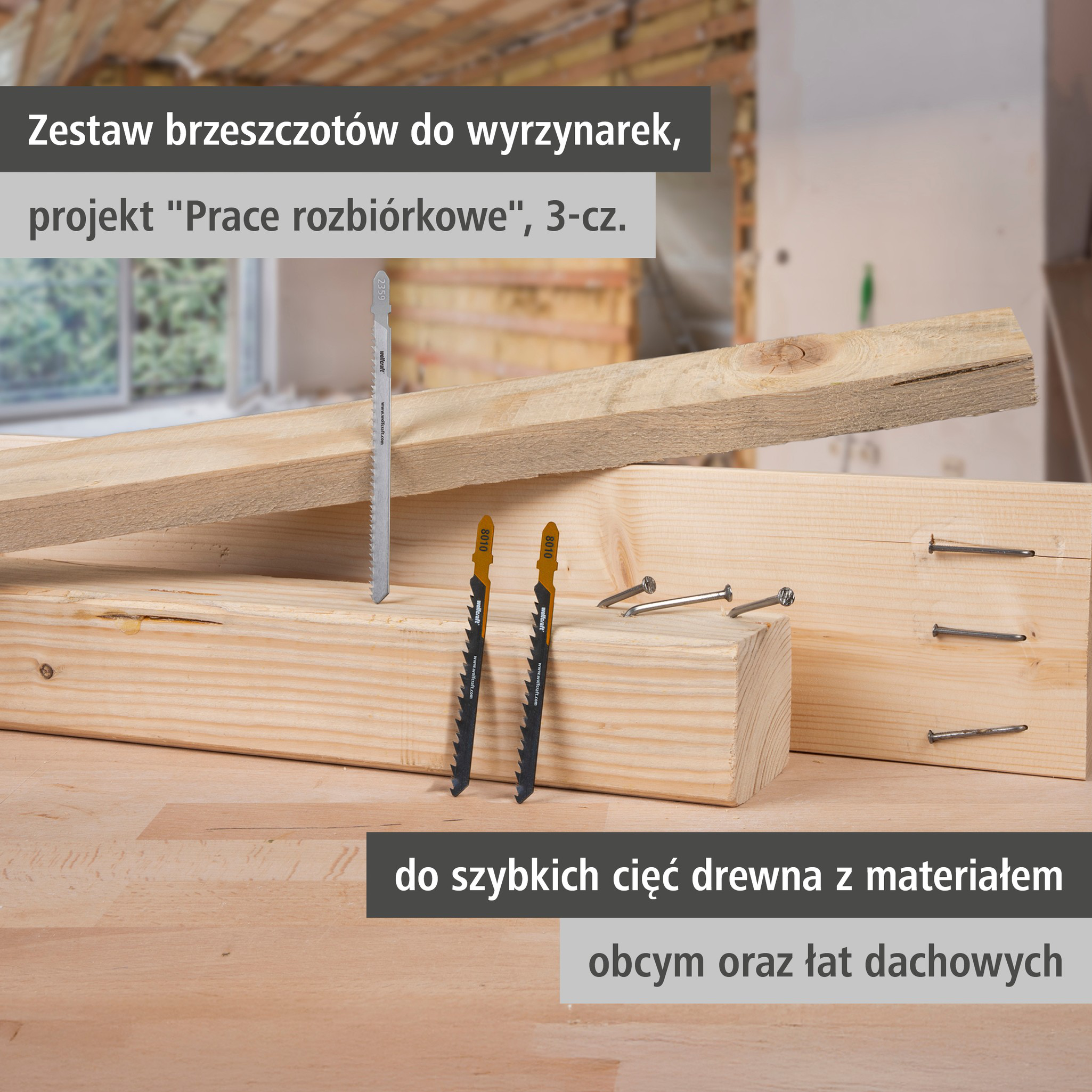 Jigsaw Blade Project Set for Demolition Work, 3 Pcs. (pl)