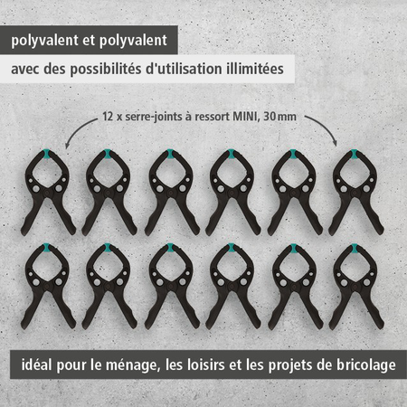 MINI 30 Spring Clamp