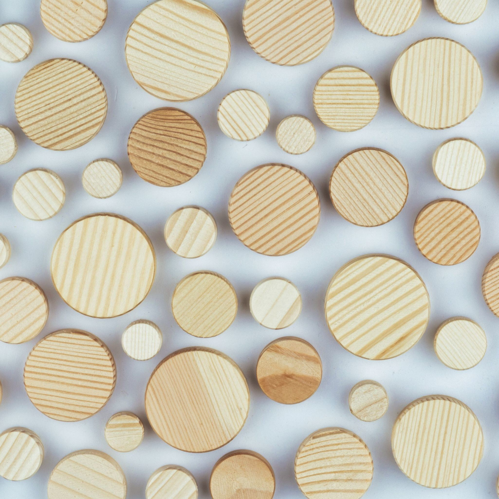 Wooden Plugs - Image 7