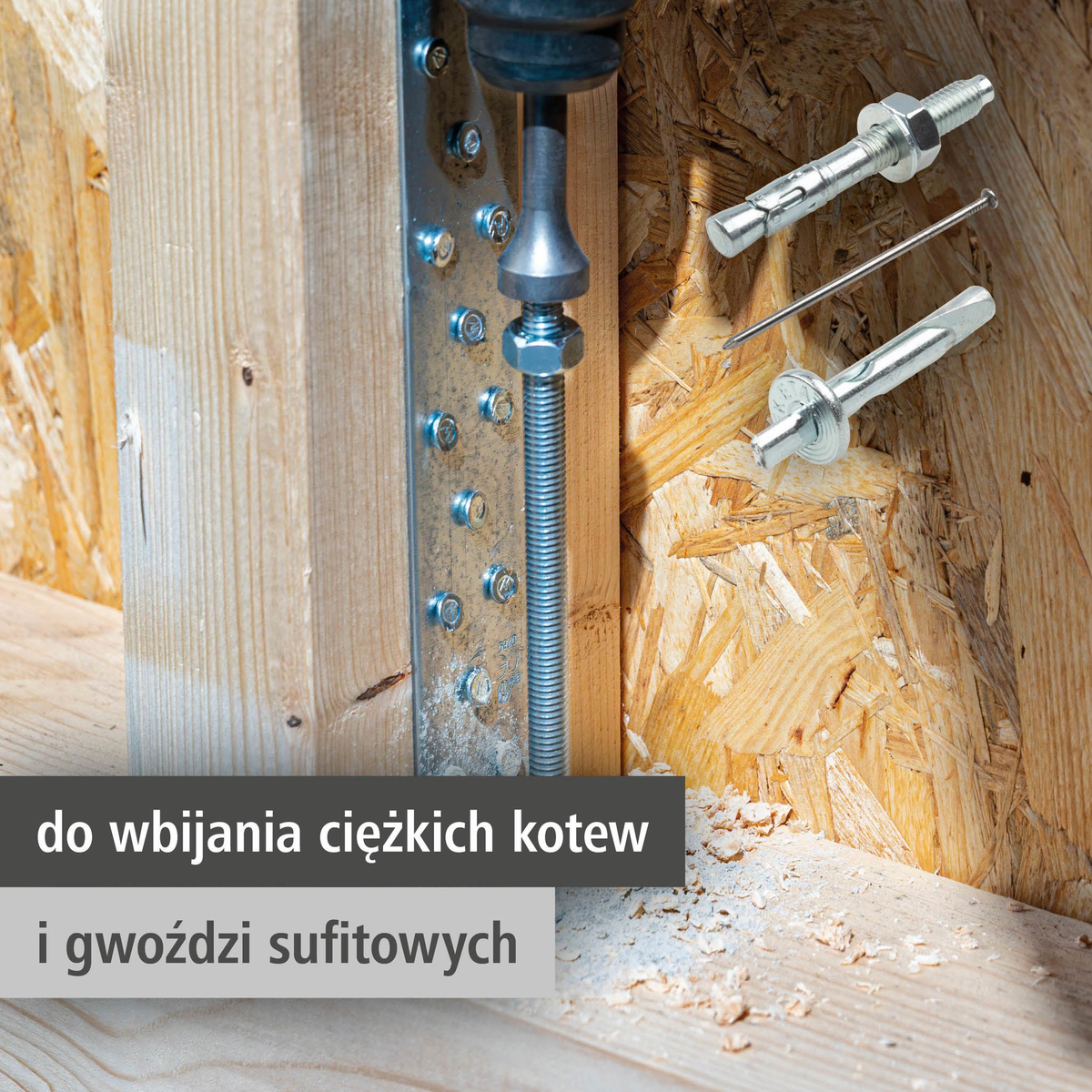 SDS-plus Driving Tool (pl)
