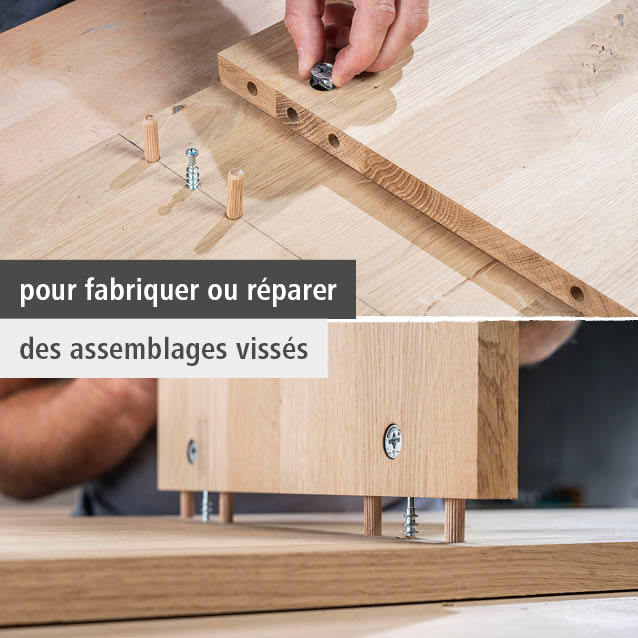 Furniture Cam Locks (fr)
