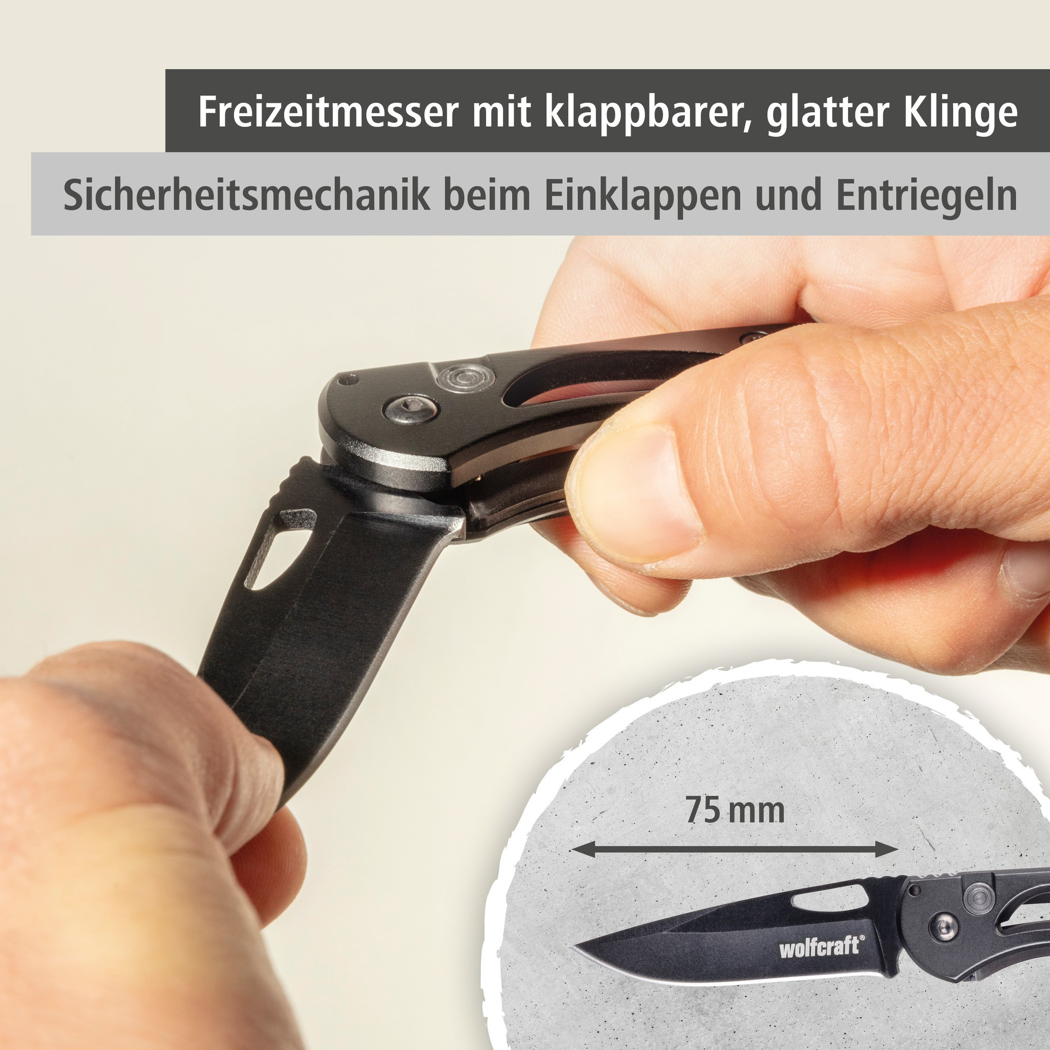 Leisure Knife with Folding, Smooth Blade