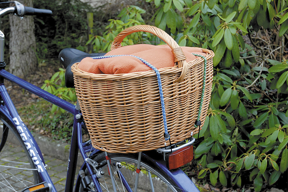 Bungee Cord - Image 2