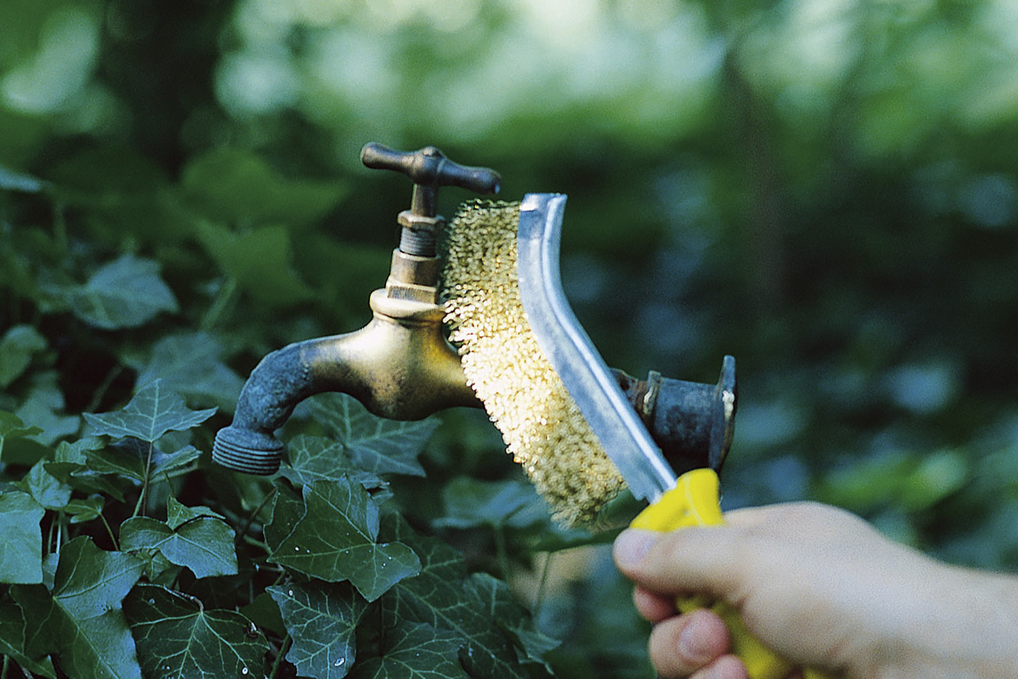 Brass Wire Hand Brush - Image 2